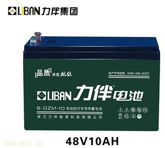  电动车专用电池6-DZM-10